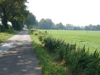 Nütheimer Strasse von Nütheim