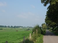 Nütheimer Strasse von Nütheim