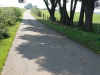 Nütheimer Strasse von Nütheim