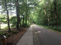 Koningsweg from Beekbergen