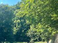 Șaua Arșasca von Ţaţu