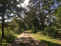 Wapenberg from Beekbergen