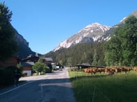 Pralognan la Vanoise