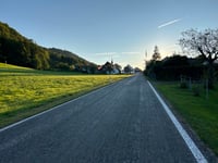 Bärenwil von Hägendorf