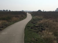 Braamberg / Hoog Buurlose Heide