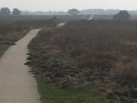 Braamberg / Hoog Buurlose Heide