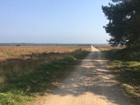 Aardmansberg über Hofweg