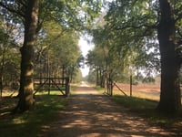 Aardmansberg über Hofweg