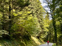 Col de Marie-Blanque da Bielle