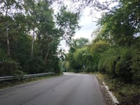 Kraków Zoo über Leśna