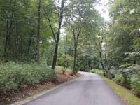 Kraków Zoo über Leśna
