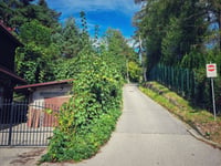 Daszyńskiego von Myślenice