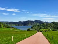 Falsztyn von Jezioro Czorsztyńskie