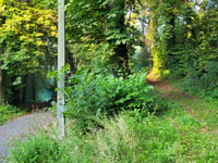 Rue du Roua von Visé