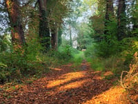 Rue du Roua von Visé