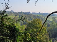 Holliguette