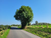 Côte de Mortier über Rue du Gué