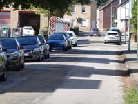 Alte Wardener Strasse von Hoengen