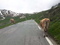 Col du Tourmalet