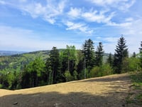 Góra Chełm from Myślenice