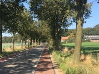 Kop van Deelen from Schaarsbergen