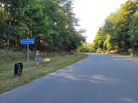 Kopje van Bloemendaal depuis Overveen