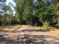 Vierhouterweg desde Gortel