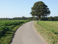 Ofdener Heide von Broicher Mühle