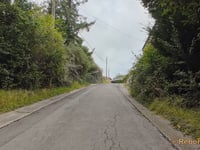 Fond Bougerie