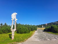 Przełęcz Karkonoska von Špindlerův Mlýn
