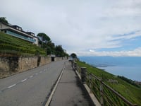 Côte de Bellevue von Cully