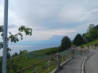 Côte de Bellevue von Cully