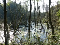 Am Euchener Bach von Am Kiesschacht
