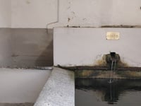 Boleto da Alzo via Artò