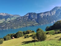 Kerenzerberg da Mühlehorn
