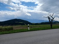 Savigny von Lutry