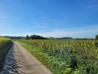 Guigovenveld von Guigoven