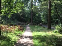 Bruisbeek via Droefakkers