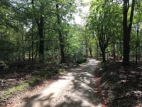 Bruisbeek via Droefakkers