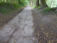 Am Chorusberg