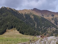 Prato Maslino von Berbenno di Valtellina