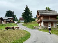 Route du Vernay