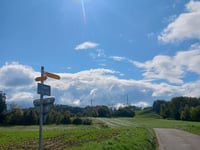 Signal de Grandvaux from Lutry