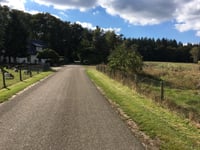 Trapjesberg / Loenensebos