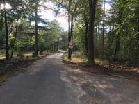 Trapjesberg / Loenensebos