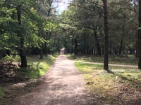 Velperweg von Loenermark