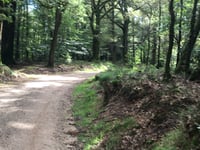 Velperweg von Loenermark
