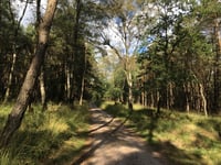 Postberg von Veluwezoom