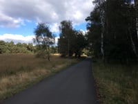 Elsberg über Onzalige Bossen