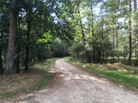Imbos from Landgoed Boshul